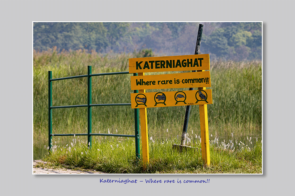 Katerniaghat – Where rare is common!!